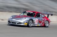 2004 Porsche 996 Flying Lizard View 9