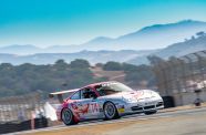 2004 Porsche 996 Flying Lizard View 10