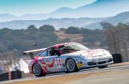 2004 Porsche 996 Flying Lizard View 11