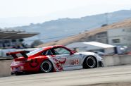 2004 Porsche 996 Flying Lizard View 13