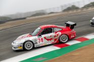 2004 Porsche 996 Flying Lizard View 15