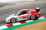 2004 Porsche 996 Flying Lizard View 19