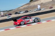 2004 Porsche 996 Flying Lizard View 23