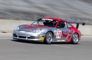 2004 Porsche 996 Flying Lizard View 3